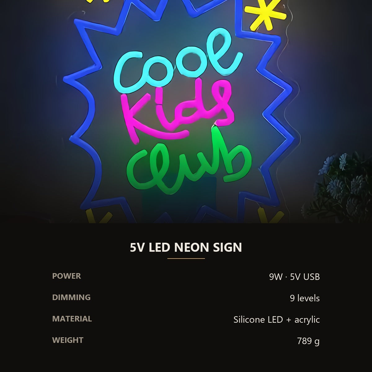 Neon 'Cool Kids Club' Sign — Multicolor